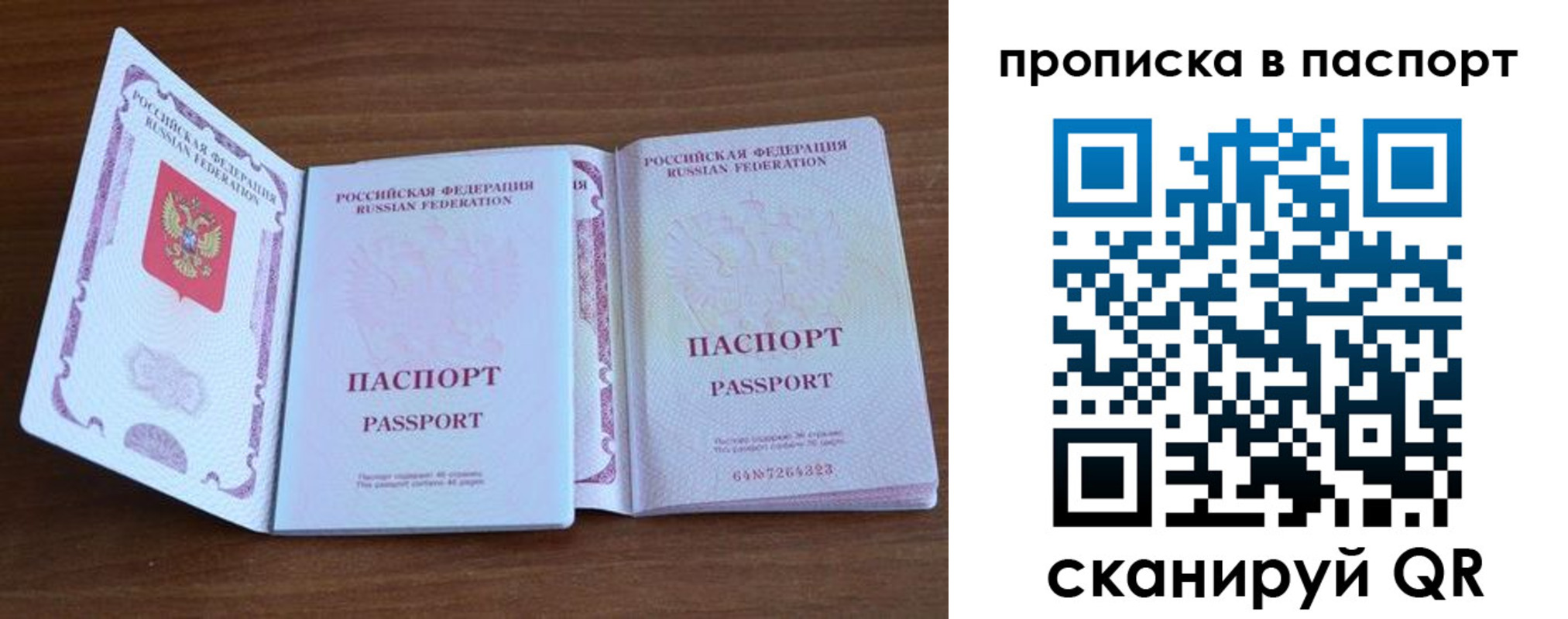 временная регистрация поиск в Чкаловске